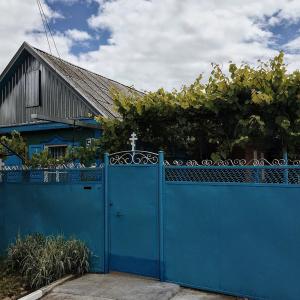 Кубань. Майкоп